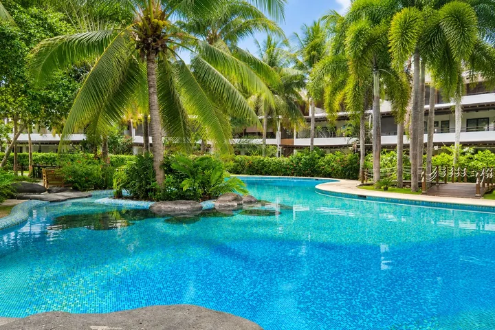 Silver palms over the pool